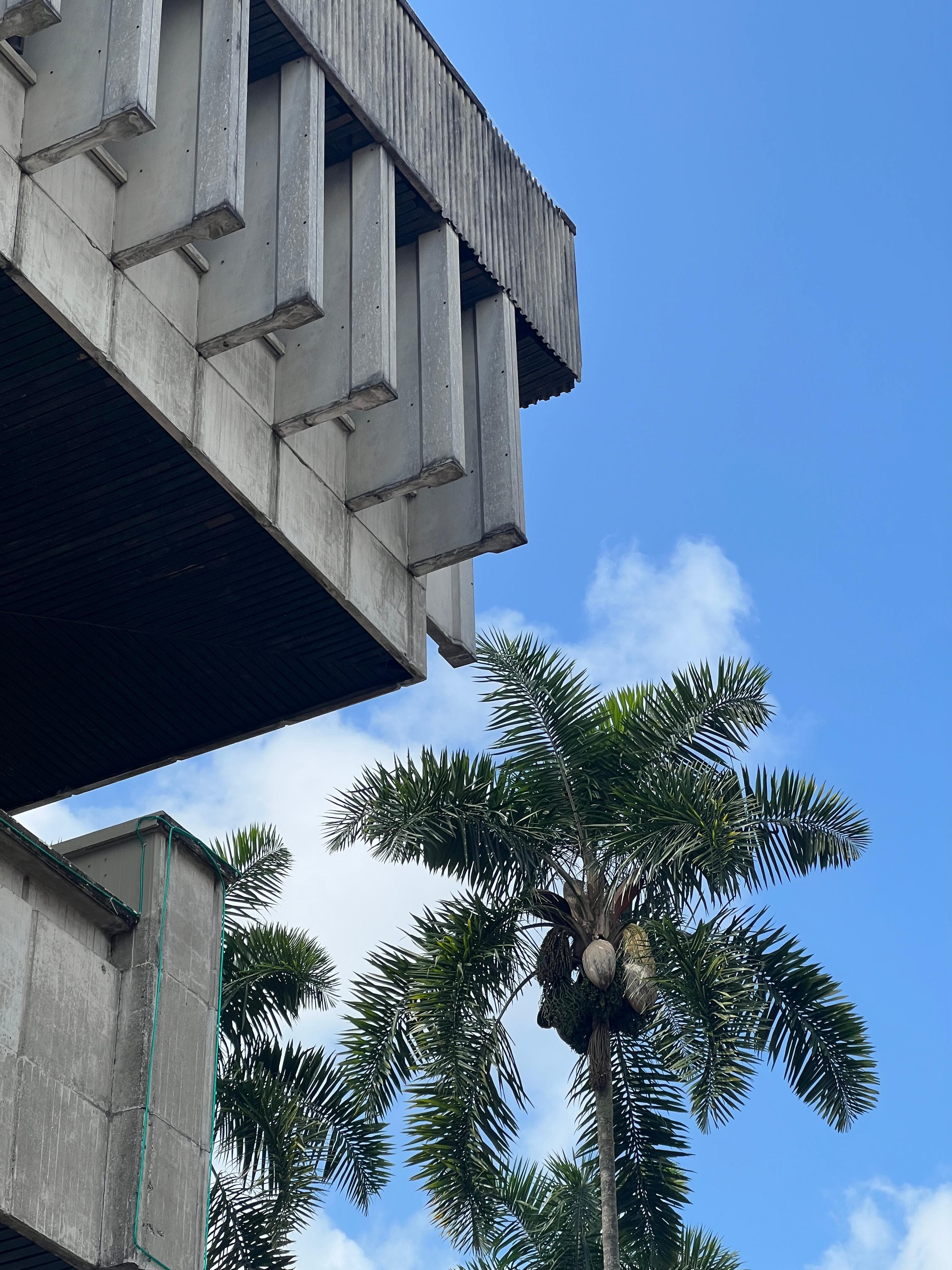 Directorio: Joyas del Brutalismo en Latinoamérica